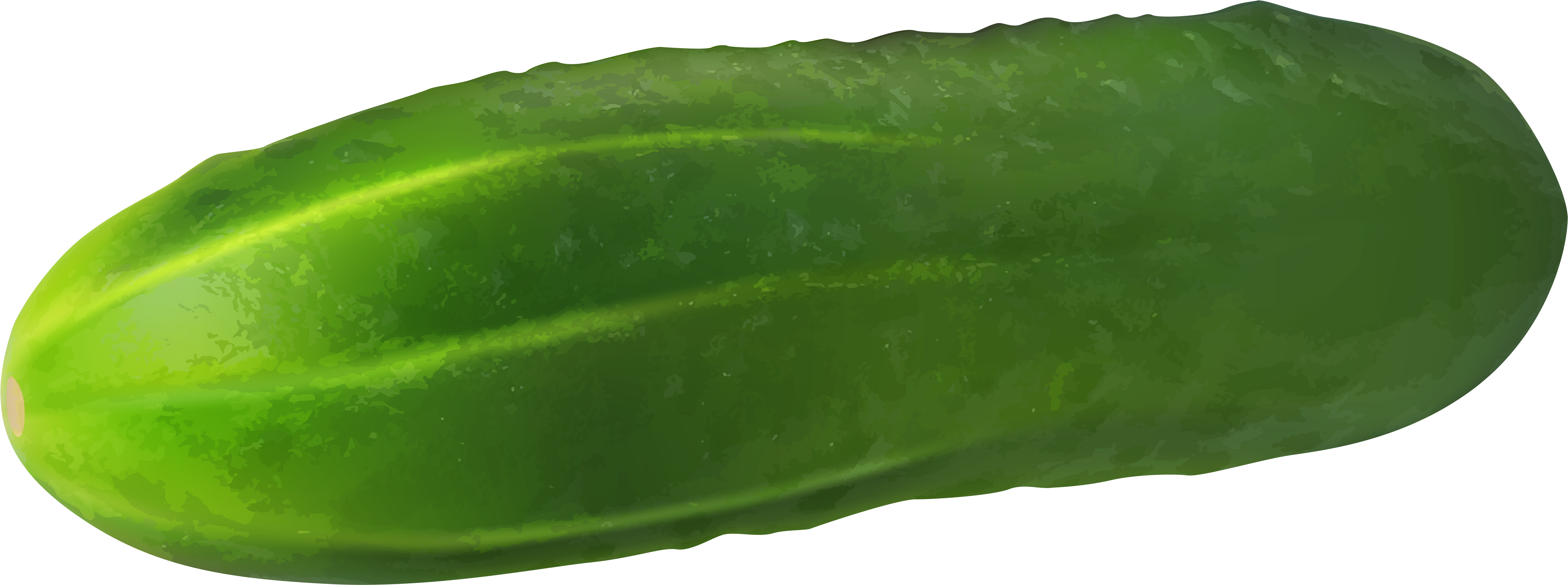 Gherkin Transparent Png Clip - Cucumber Clipart With Transparent Background (8000x3038), Png Download