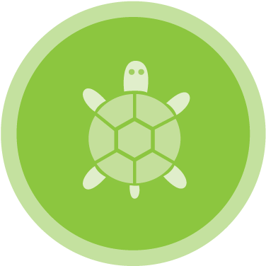 Python Logo Clipart Green Python - Python - Free Transparent PNG ...