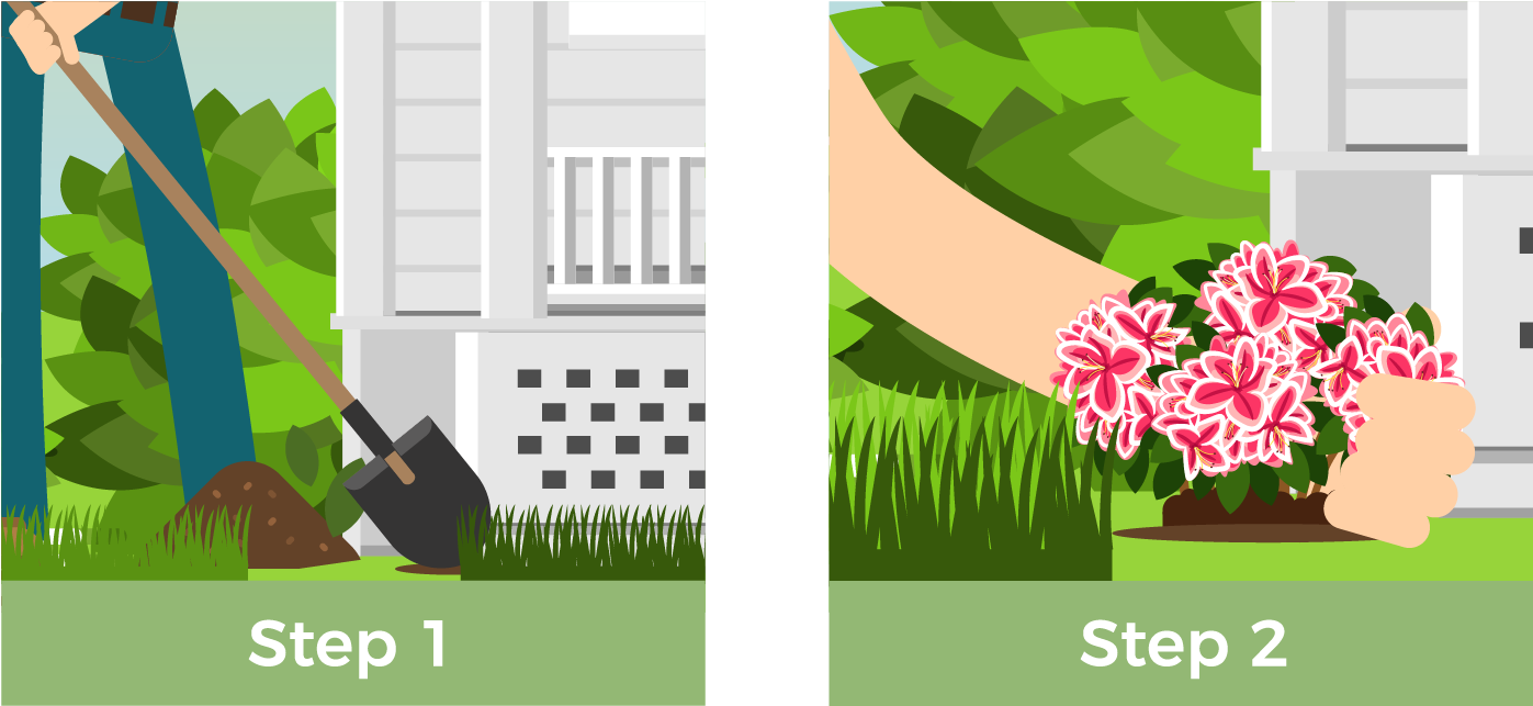 Digging The Hole - Tree (1600x800), Png Download
