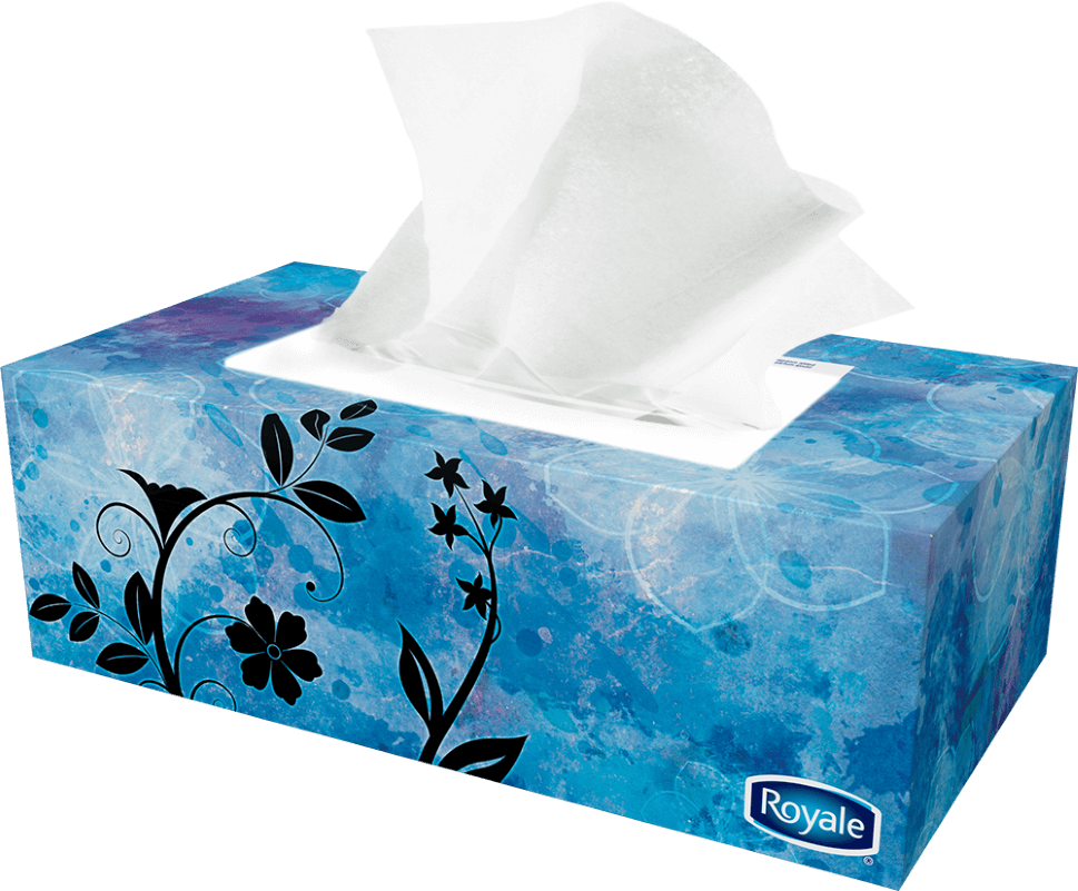 Previous - Next - Facial Tissue Png (969x801), Png Download