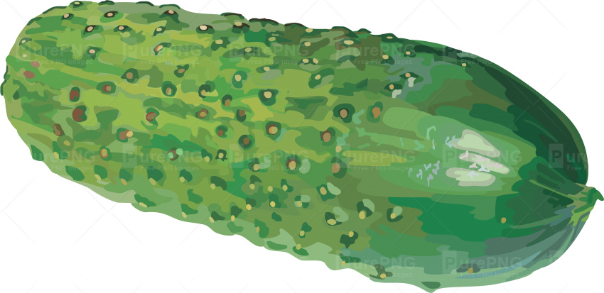 Cucumber Png Image - Watercolor Cucumber Png (850x413), Png Download