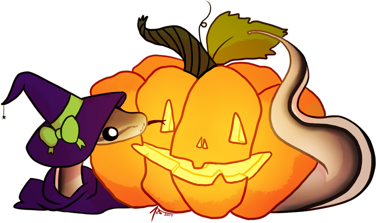 Another Commission This Is Peggy The Ball Python Halloween - Ball Python (1280x782), Png Download