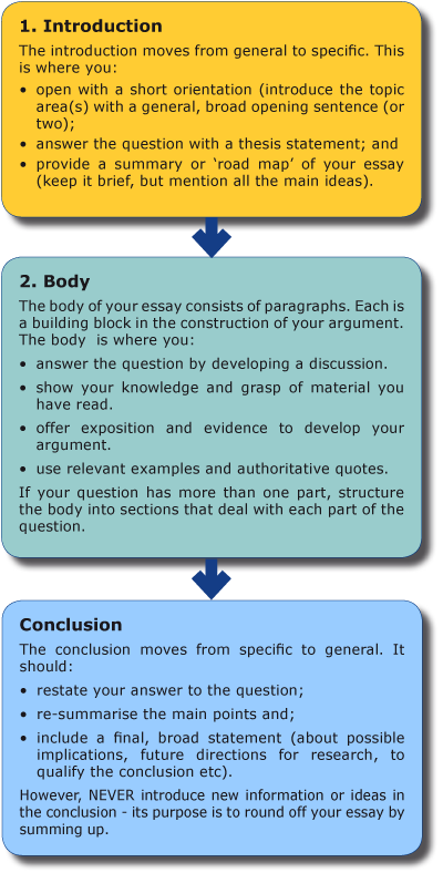 Essay Paragraphs - Write An Essay Structure (400x788), Png Download