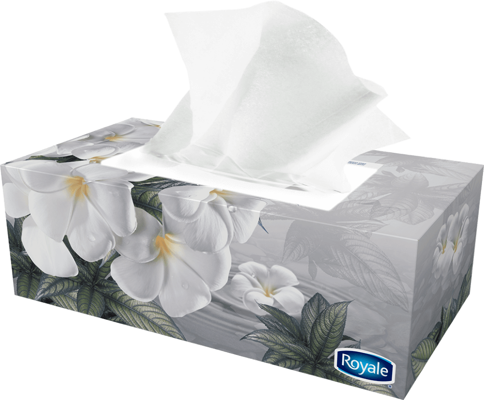 Tissue Paper Box Png (969x801), Png Download