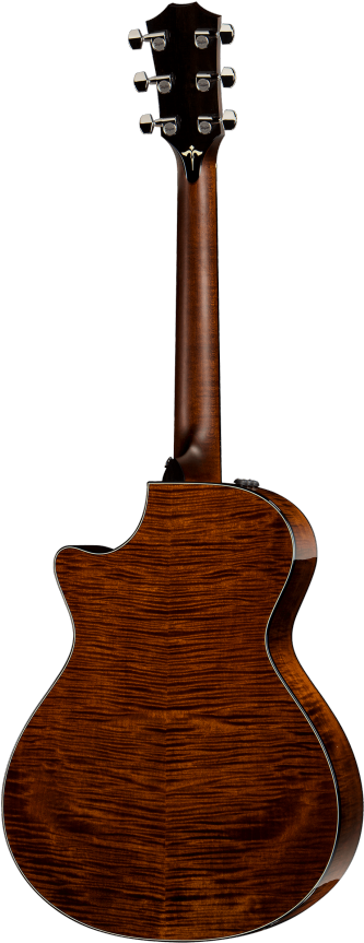 612ce Taylor Guitars - Jeff Tweedy Martin Guitar (490x869), Png Download