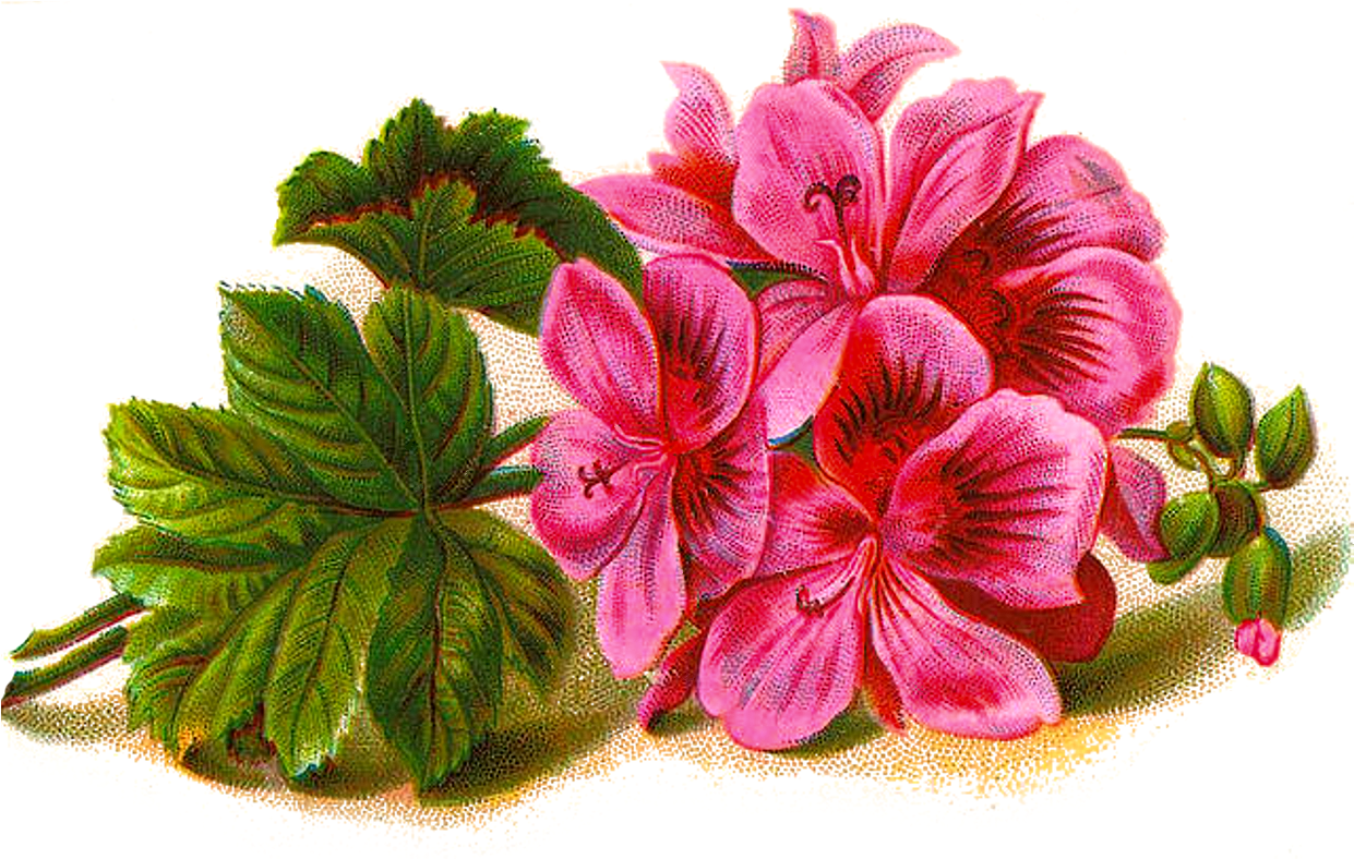 Png Image Plus Matching Stationery, Journal Card And - Lined Music Paper With Flower Journal (1260x794), Png Download