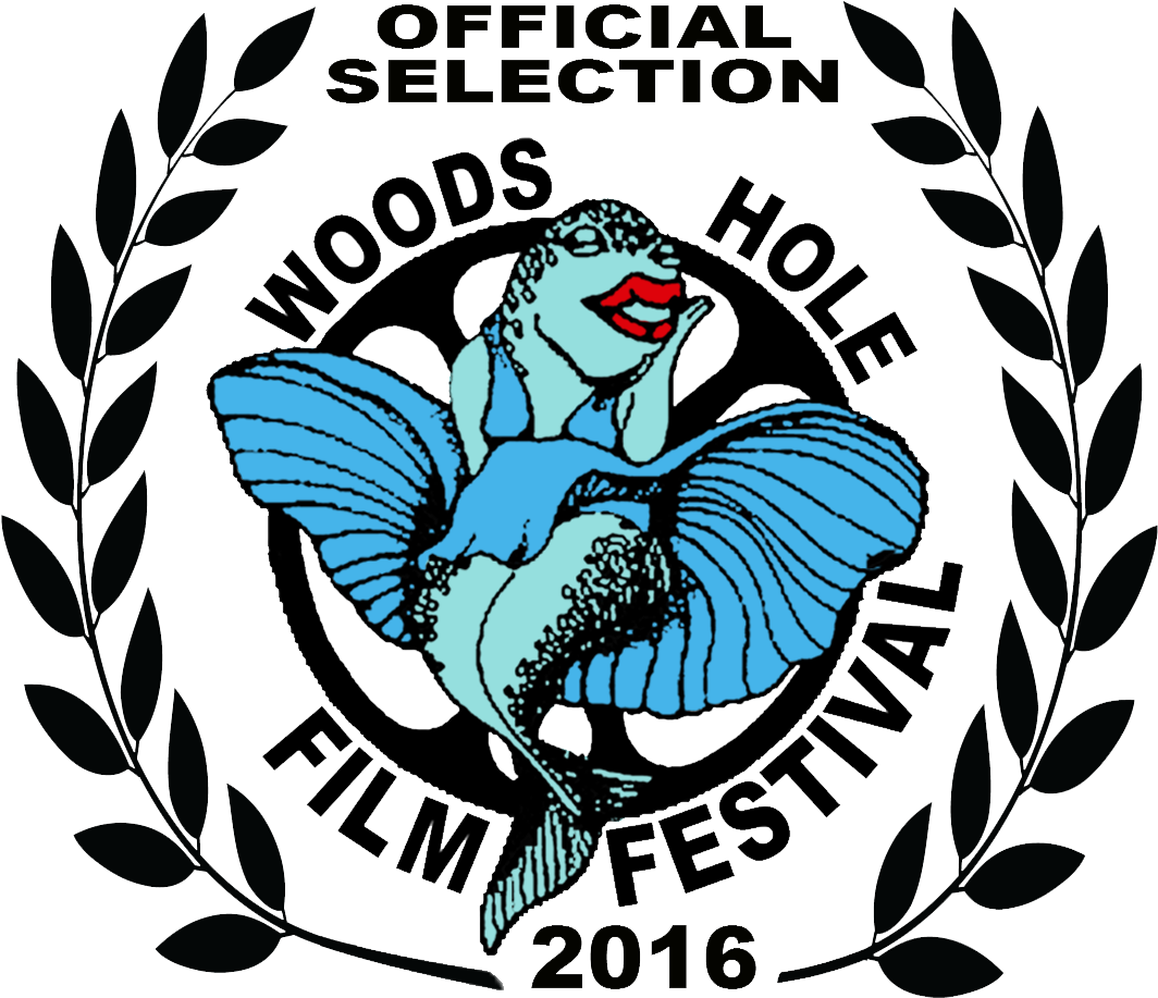 Woods Hole Film Festival Official Selection - Gaviota: The End Of Southern California​ (1132x984), Png Download
