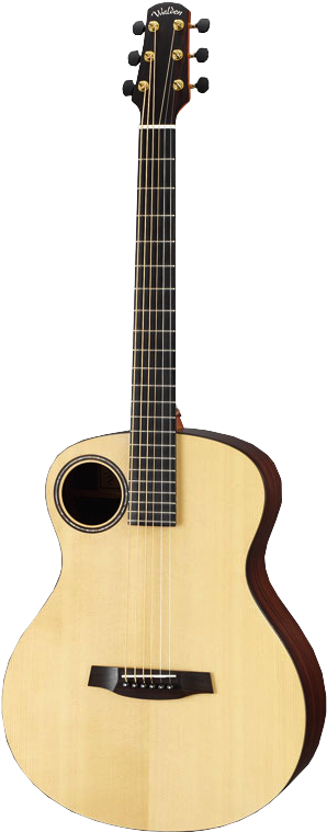 Walden B1 Bis - Gitar Lakewood Sungha Jung (389x793), Png Download