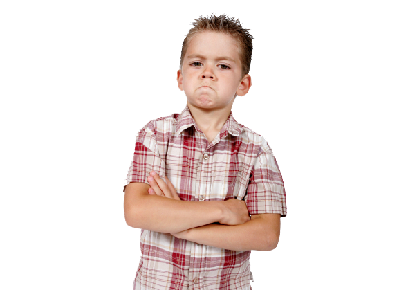 Clip Royalty Free Stock Animal Kingdom Png Image Related - My Story Can Beat Up Your Story Ten Ways To Toughen (734x418), Png Download