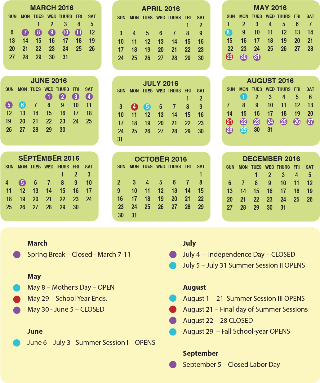 Calendar 2016 - Pocket Calendar 2012 Printable (1080x1261), Png Download