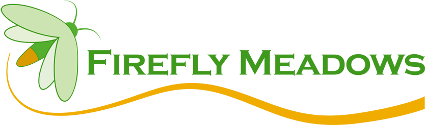 Centro Cristiano Peniel (842x247), Png Download