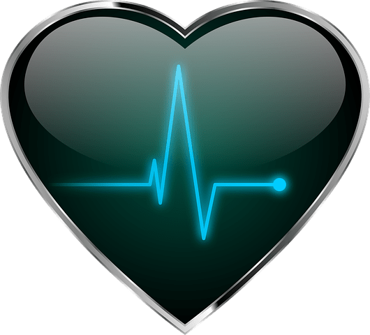 Why You Need A Heart Rate Monitor - Omega 3 Heart Transparant (530x480), Png Download