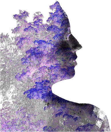 Visual Arts (480x480), Png Download