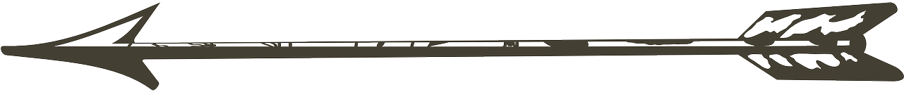 Svg Free Download Archery Shop In Petaluma Ca West - Bride Tribe Neon Trucker Snapback Hats Bachelorette (1280x640), Png Download