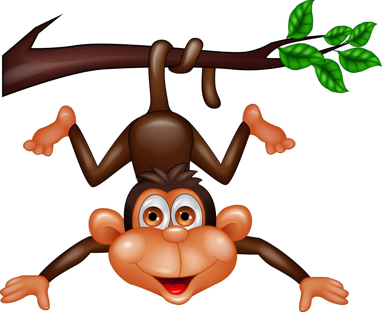 Hang Branch - 100 Of The Most Playful Animals (1516x1238), Png Download