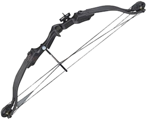 25 Lb Compound Bow Archery Set Black - Arrow (500x500), Png Download