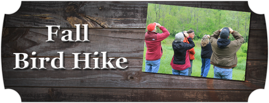 Fall Hike Banner (937x360), Png Download