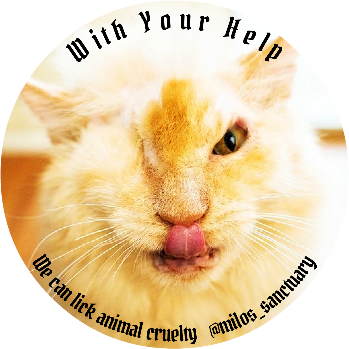 2 Aug (1200x1200), Png Download