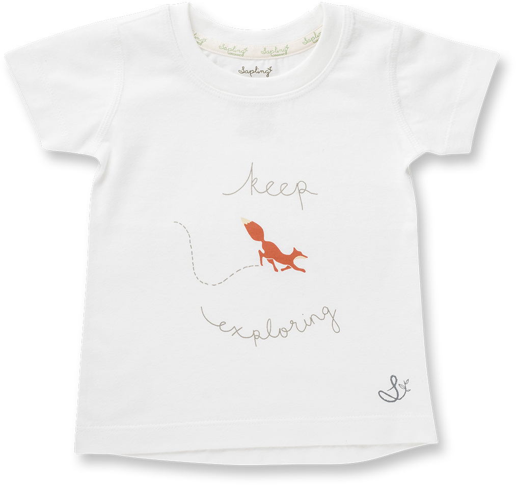 Signore Fox Tee (1079x1079), Png Download