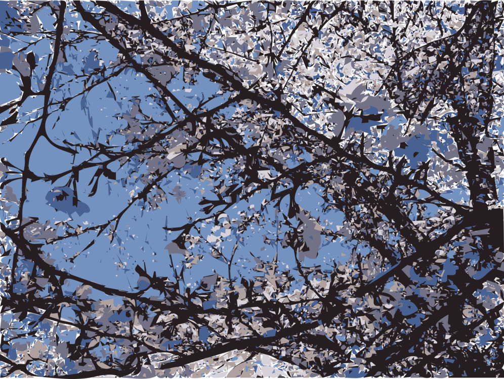 Computer Icons Vector Magic Cherry Blossom St (996x750), Png Download