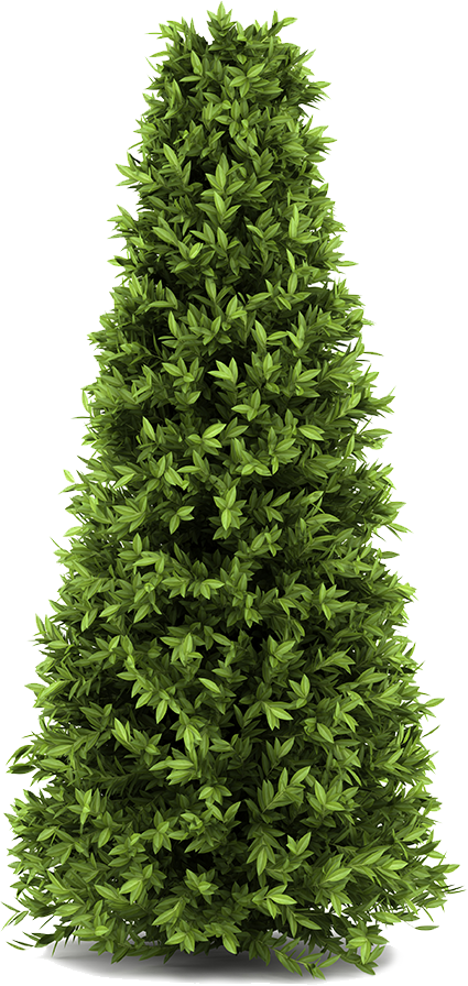 Https - - - (425x896), Png Download