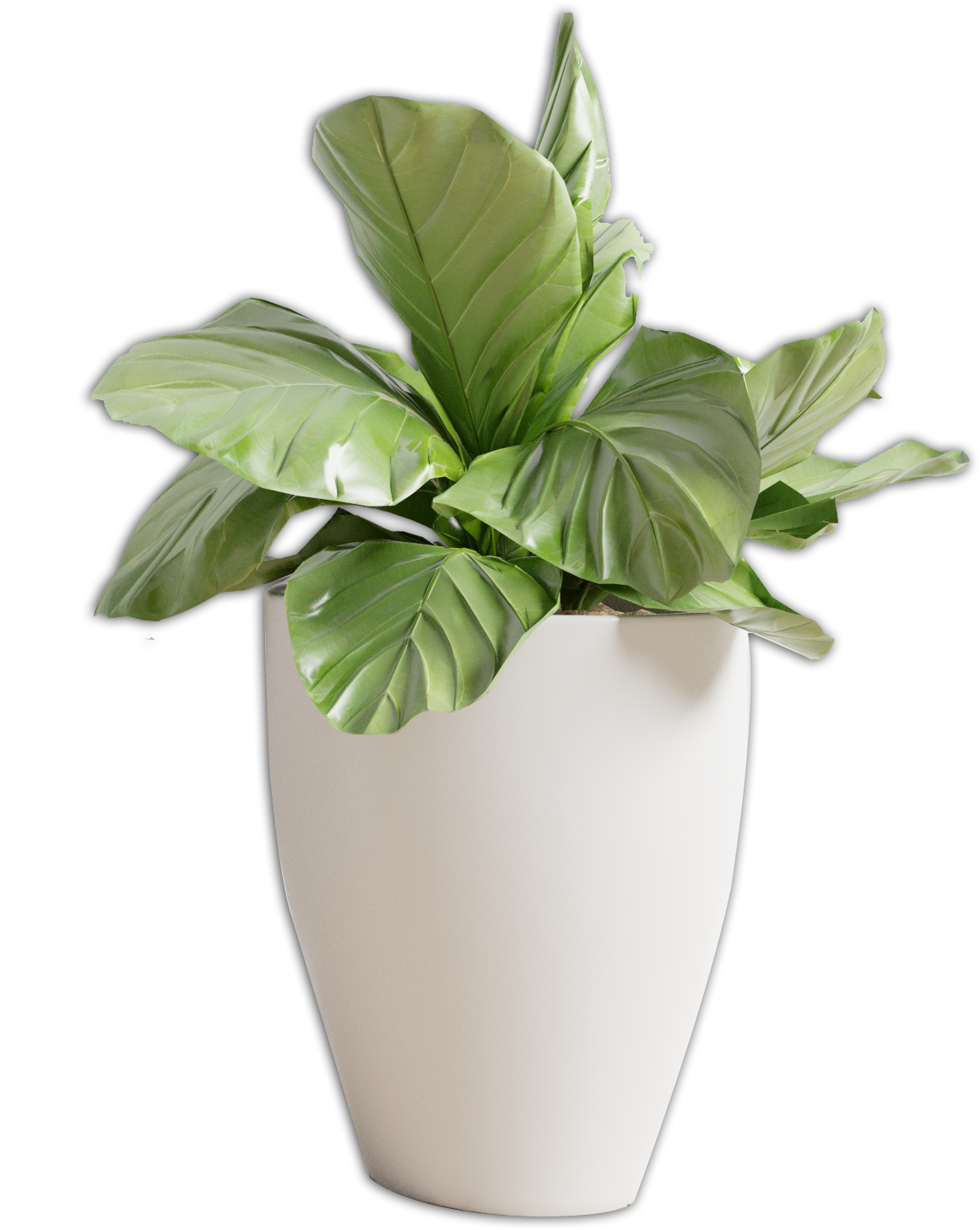 Florero Png