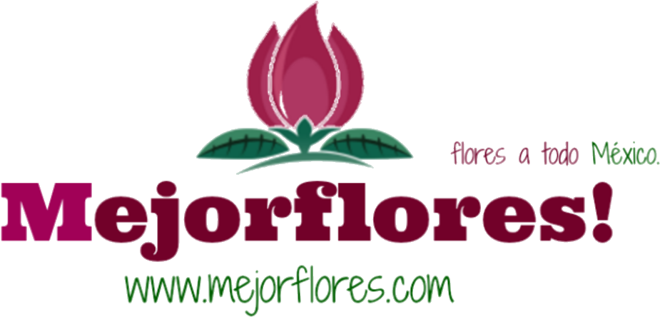 Mejor Flores (1050x548), Png Download