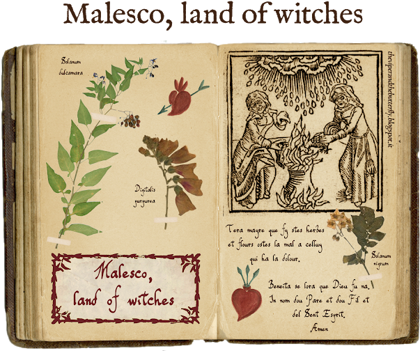 Witches Png (640x526), Png Download