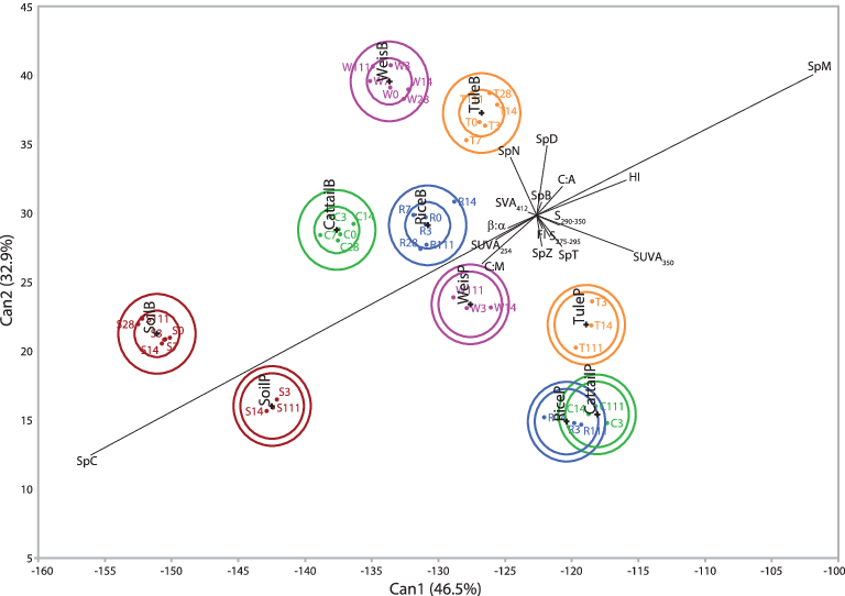 Discriminant Analysis Plot Of The Standardized Canonical (768x542), Png Download