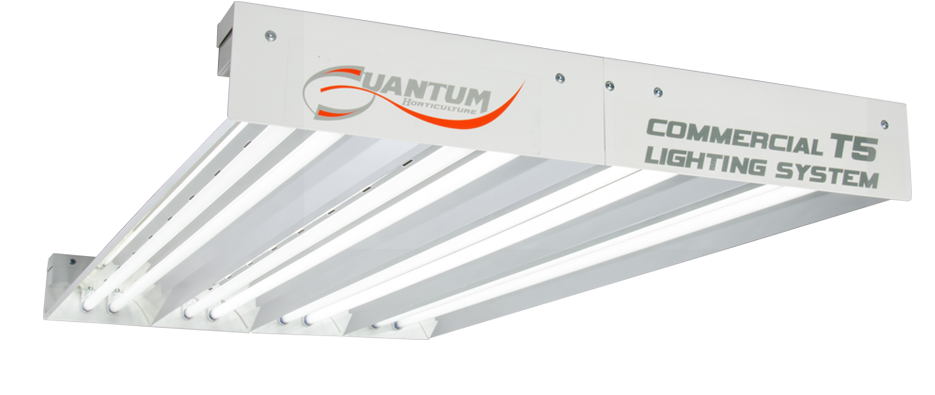 Quantum Massive Reflector (980x517), Png Download