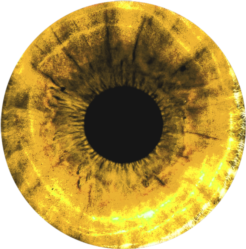 Circulo Olho Yellow Amarelo Eyes Art (1024x1024), Png Download