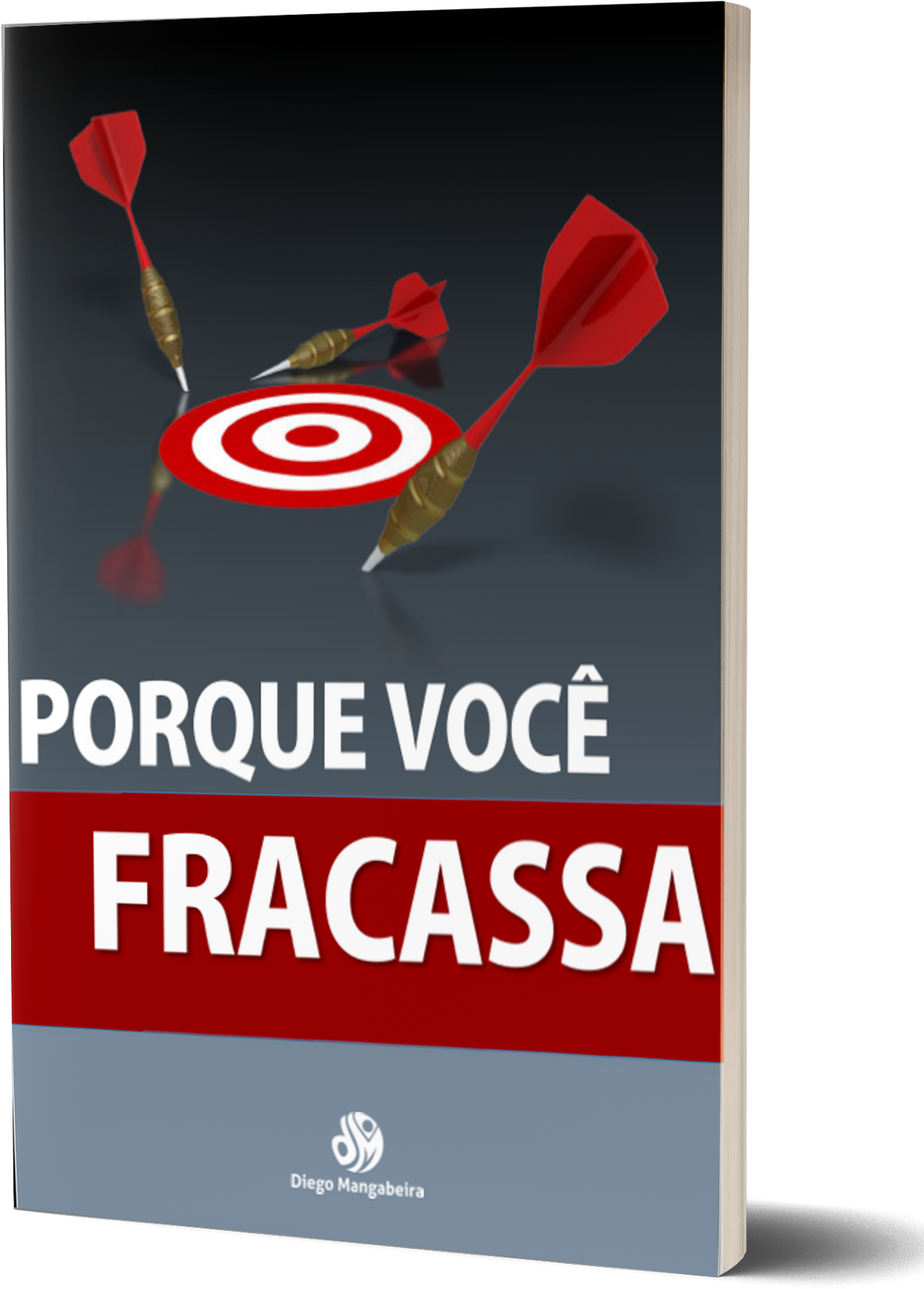 File Namefracasso-livro (1212x1676), Png Download