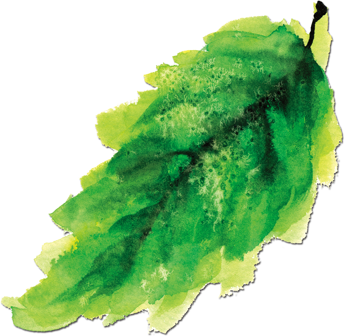 Download Ink Painting Watercolor Green Leaves Png Image With No Background Pngkey Com