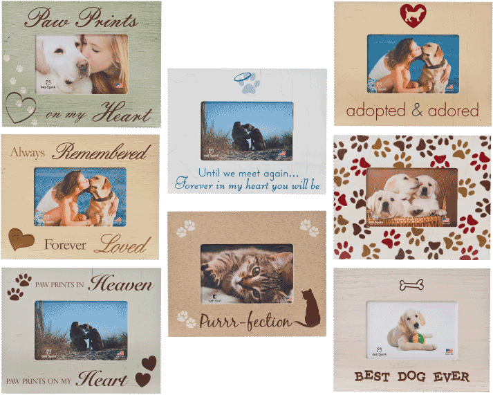 Small Frame Assortment (800x600), Png Download