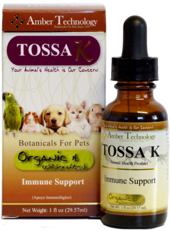 Amber Technology Tossa K 1oz (600x600), Png Download