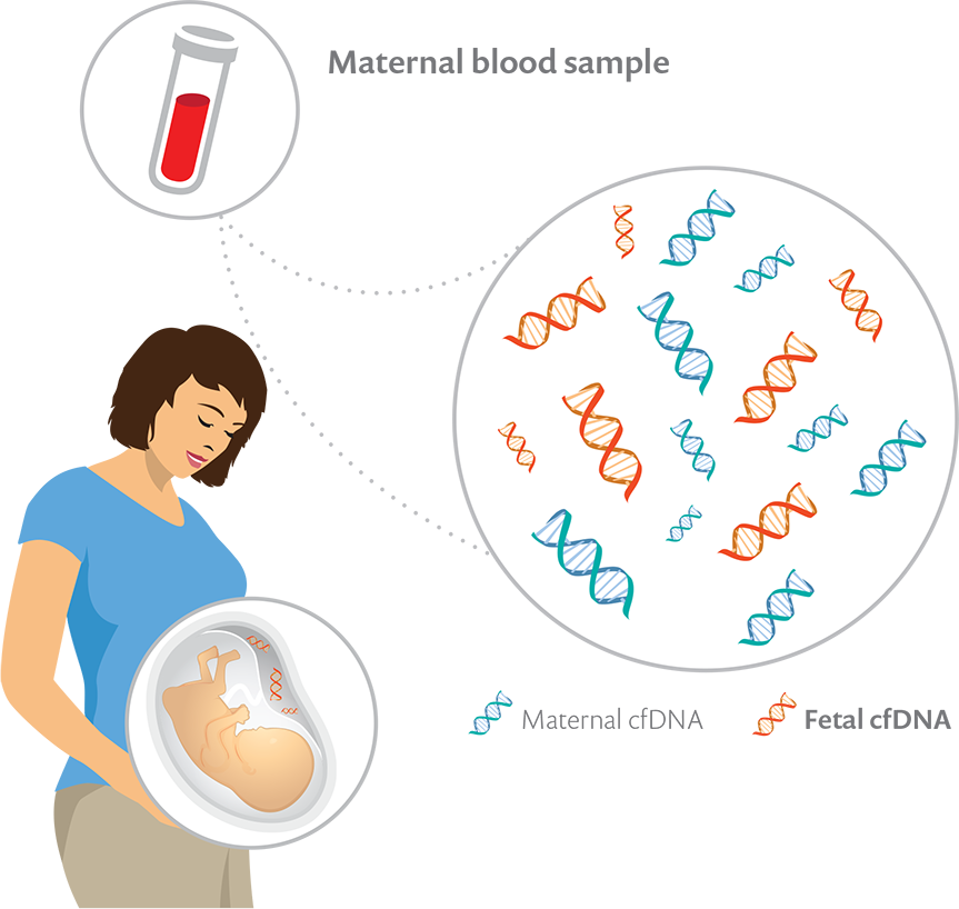 Page Flip Png (863x818), Png Download