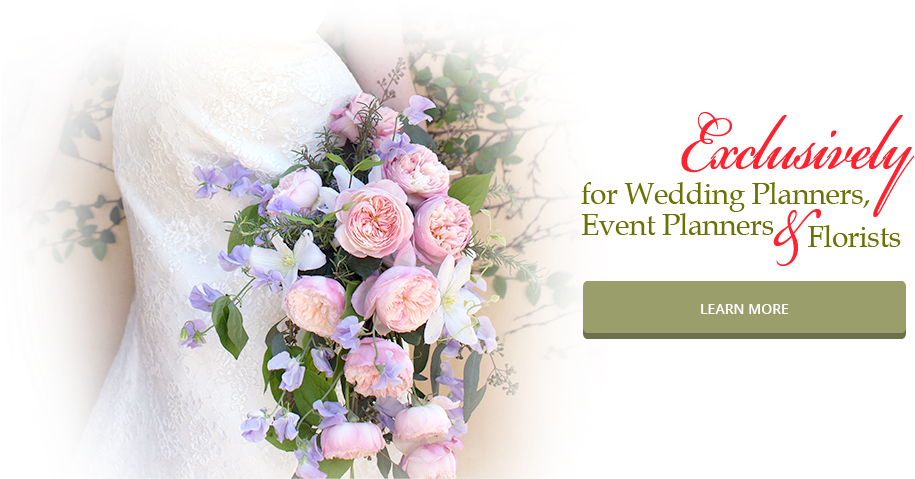 If You Want To Bring A Wow Factor To Your Next Event, (960x480), Png Download