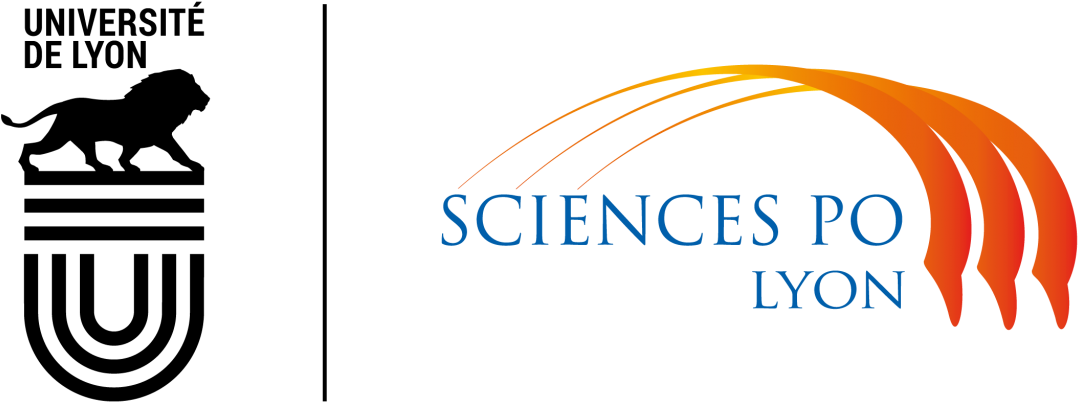 Mgs Courses Are Delivered By Highly Qualified International (1200x501), Png Download