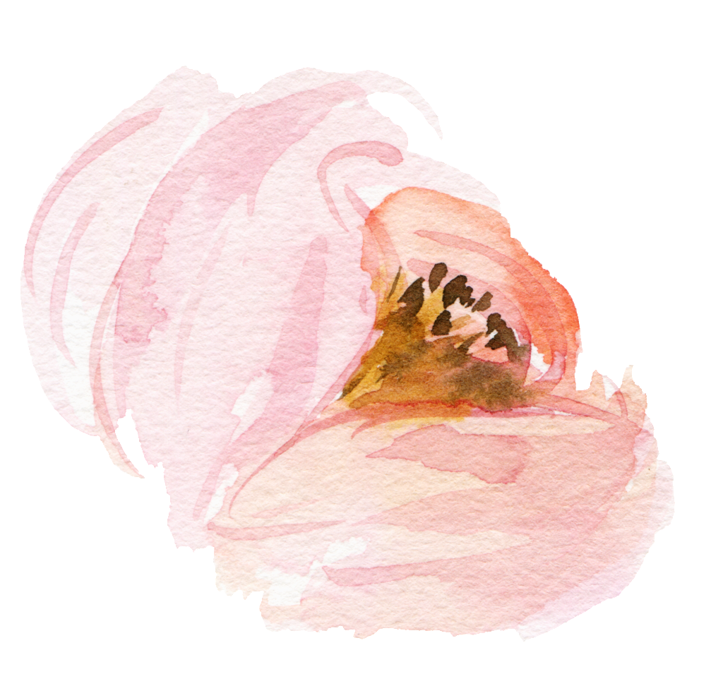 Acuarela Flor Png (1024x989), Png Download