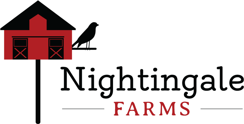 Nightingale Png (1000x600), Png Download