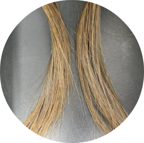 We Have Discovered Proprietary Biomolecule That Binds (600x593), Png Download