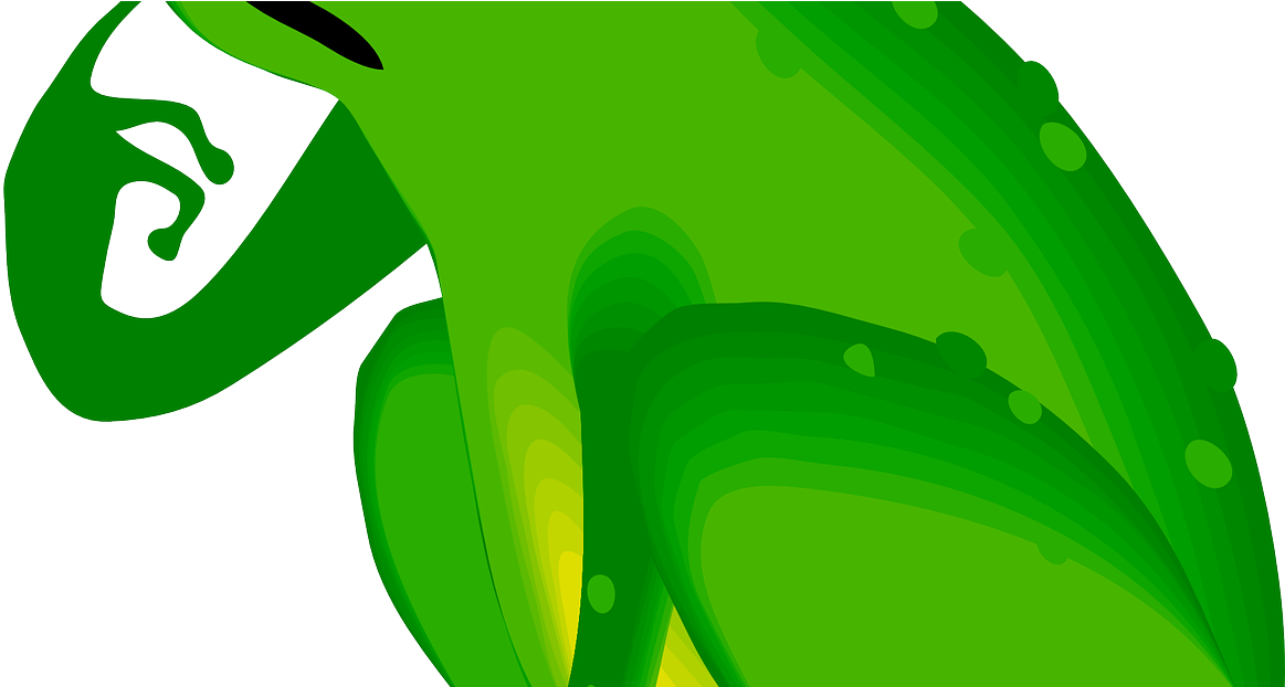 The Wedgefield Examiner (1163x622), Png Download