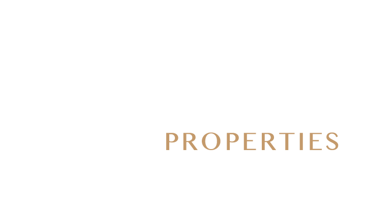 Seagul Png (720x450), Png Download