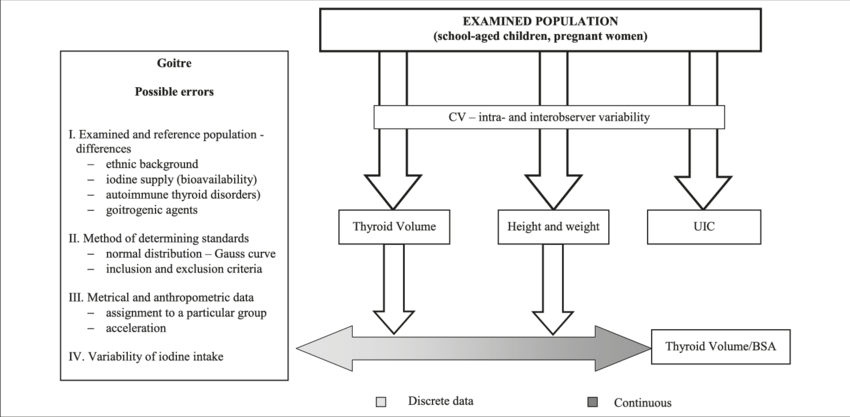 Algorithm Of The Evaluation Of Iodine Intake In School-aged (850x417), Png Download