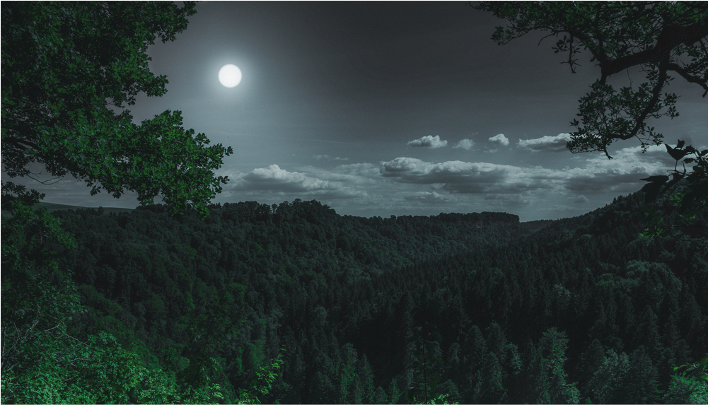 Score 50% (1000x1000), Png Download