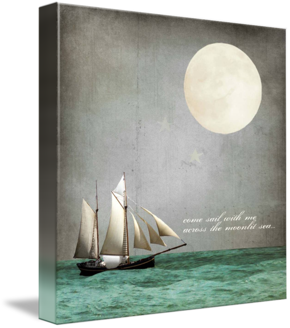 Mkc Photography Moonlight Canvas (576x650), Png Download
