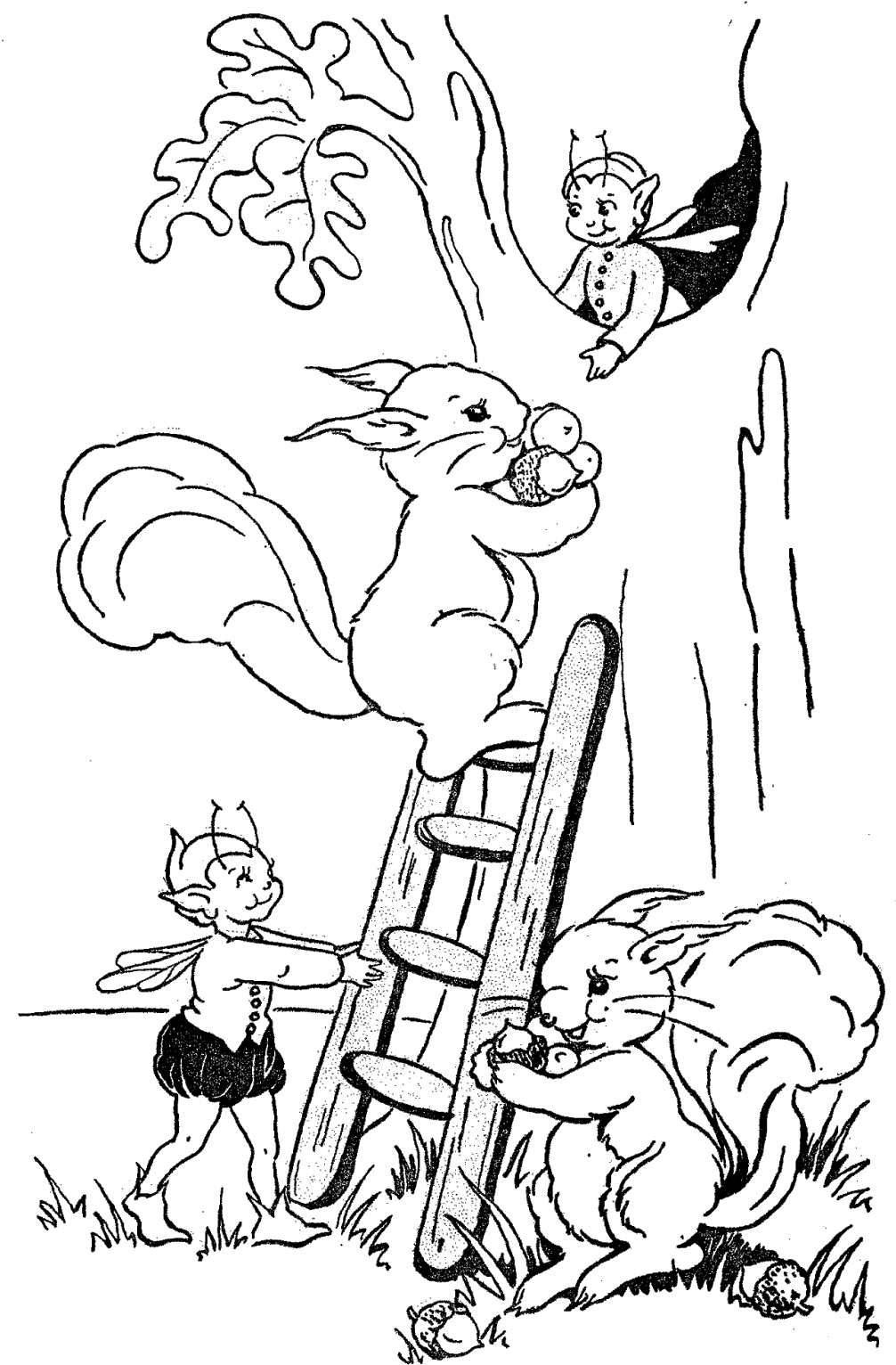 Squirrels And Fairies Storybook Image (1058x1600), Png Download