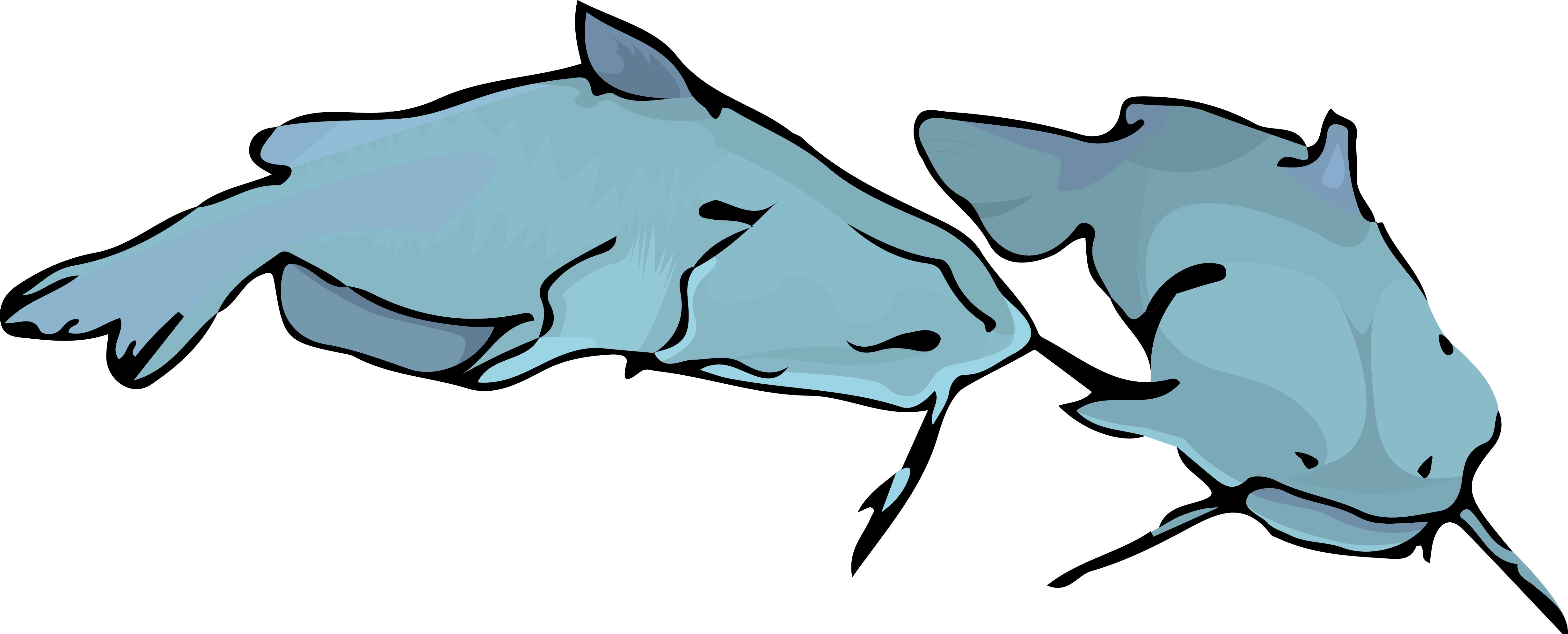 Channel-catfish (4919x1988), Png Download