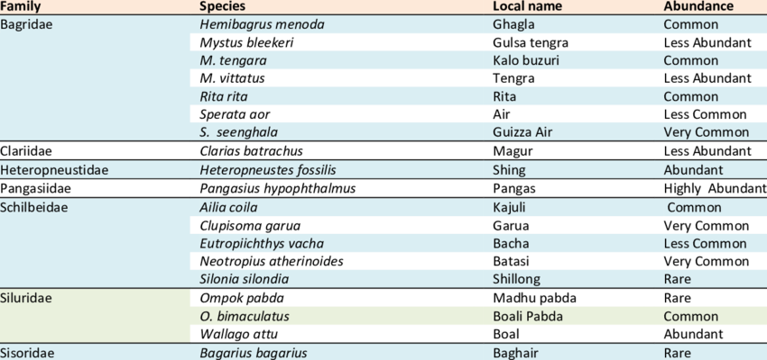List Of Freshwater Catfish Species Reported During (850x400), Png Download