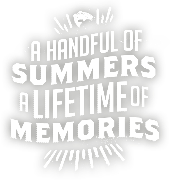 18 Summers Microsite On Mobile A Handful Of Summers, (590x630), Png Download